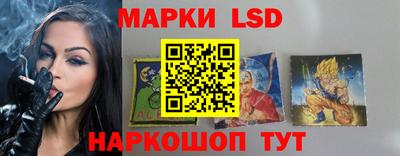 мдпв Гусев