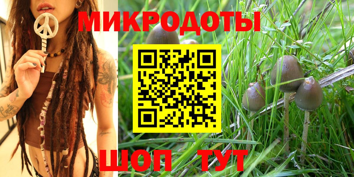 Псилоцибиновые грибы мицелий Муравленко