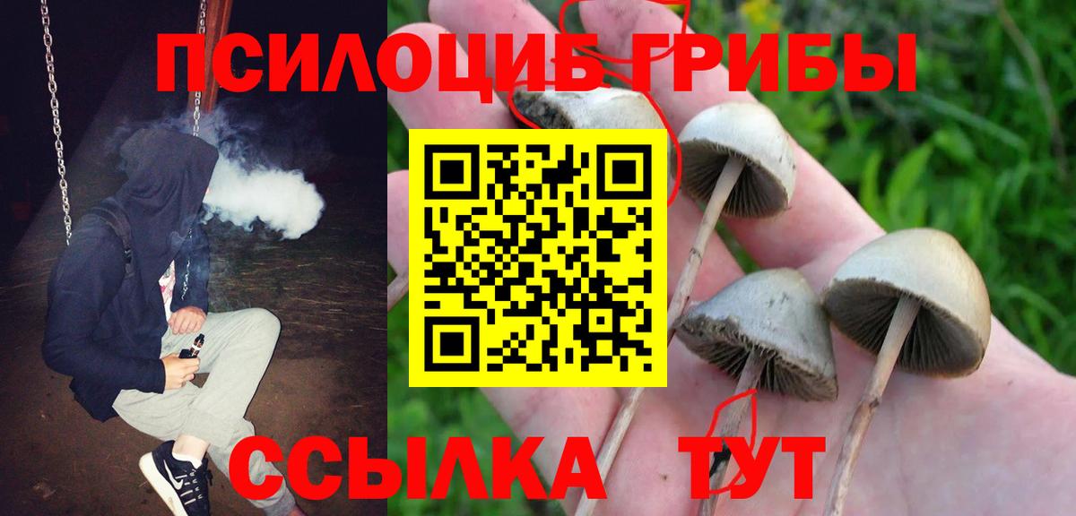Галлюциногенные грибы мухоморы  Вход с VPN  Галлюциногенные грибы Psilocybine cubensis  Муравленко 